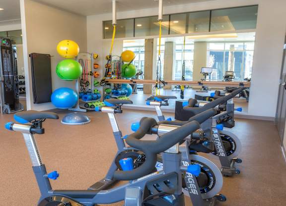 Plyo equipment in fitness center
