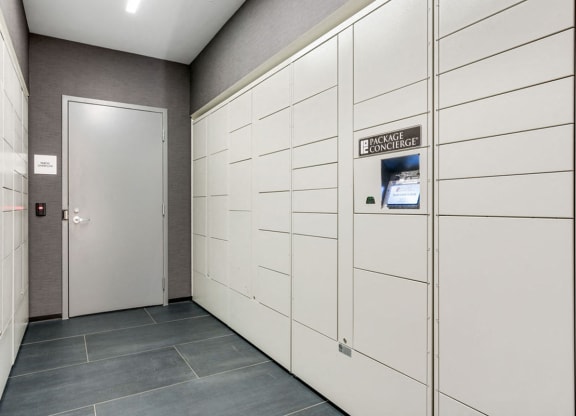 Package Concierge at One 333, Illinois