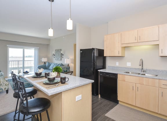 Modern Kitchen Features