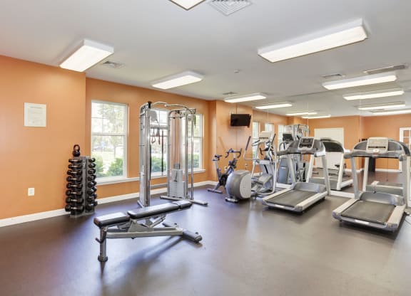 our fitness center has a variety of exercise equipment