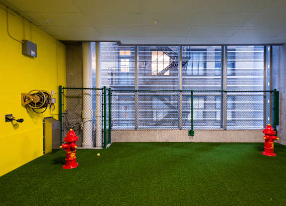 Dog Run at 73 East Lake, Chicago, Illinois