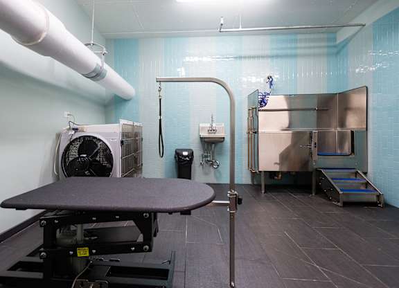 Pet Spa at 73 East Lake, Illinois, 60601