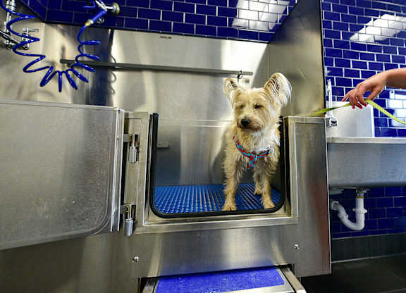 Pet Spa at Durham, Edina, MN