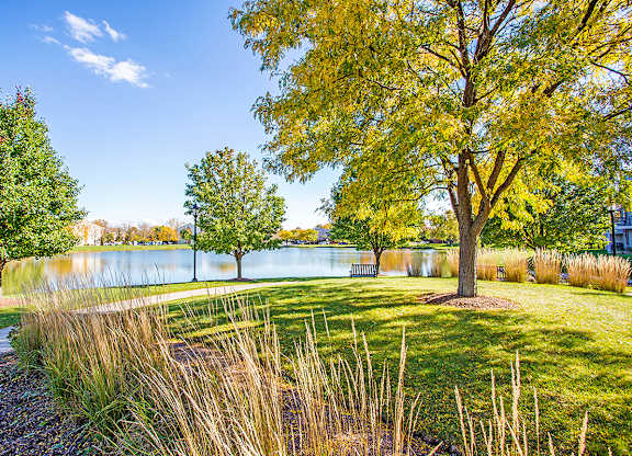 Serene Lakeside View at Williams Reserve, Illinois