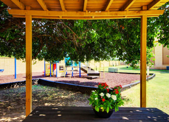 Community Playground