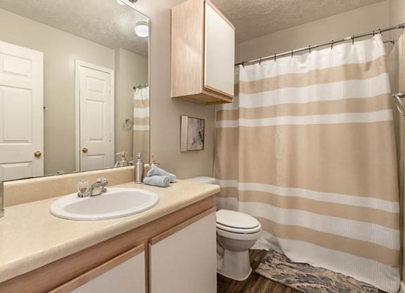 Brand New Finishes and Fixtures at Ridgeland Place Apartment Homes, Ridgeland, MS, 39157