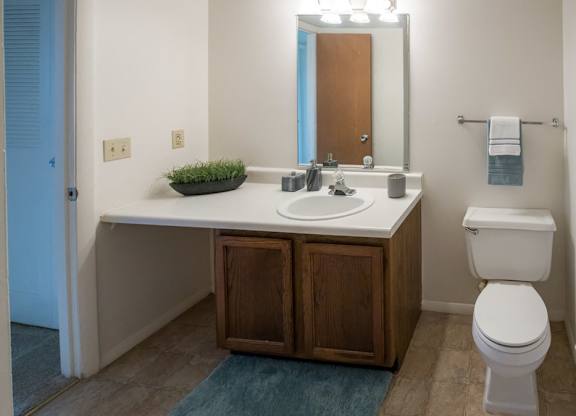 Westbrook Apartments Kokomo Indiana Bathroom Interior