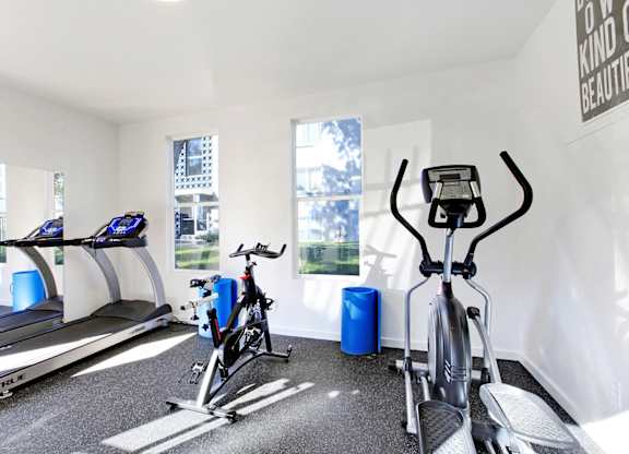 a gym with treadmills and bikes in a room with windows