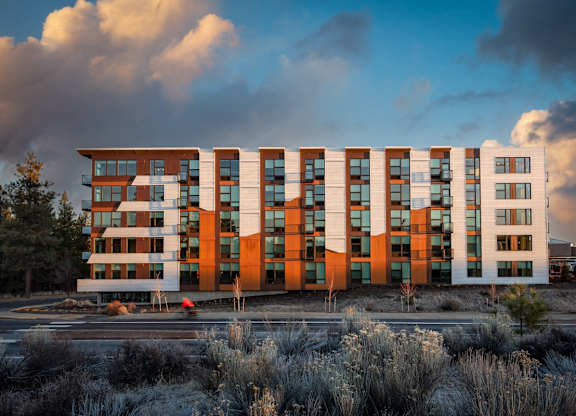 A modern building with a combination of brown and orange hues is surrounded by a field of grey shrubs.