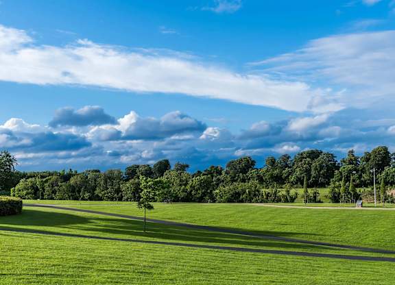 A lush green field with a tree and a blue sky with clouds. at Cherrywood Apartments, D18 VY3V, DUBLIN 18