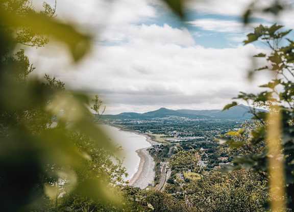 A view of a beach through the leaves of a tree at Cherrywood Apartments, D18 VY3V