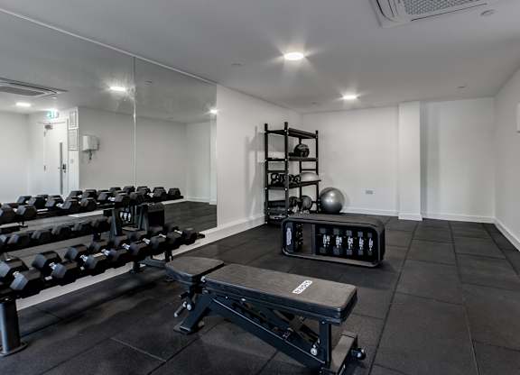 A gym with a bench, weights, and dumbbells.