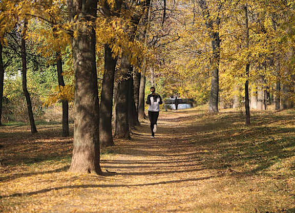 A person is walking on a path in a park with yellow leaves on the ground at The Foundry Apartments, Bordon, GU35 9FE