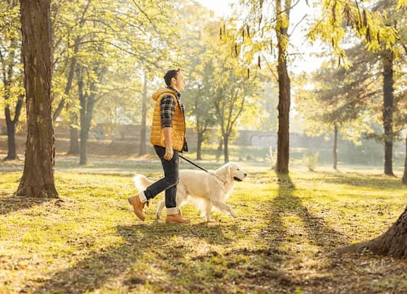 A man walking a dog in a park at Origins Apartments, Cambridge