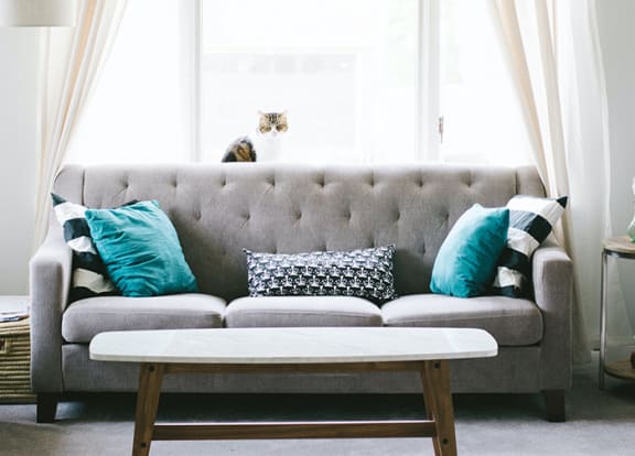 Furnished living room with cat at Bernwood Trace Apartments, Florida