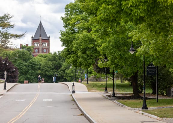 a tree lined street with a clock tower in the background