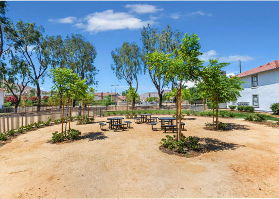 a picnic area with benches and trees in a courtyard
