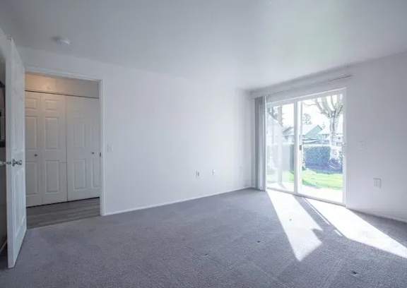 A large empty room with a carpeted floor and a sliding glass door leading to a backyard.