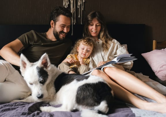 a family sitting on a bed with a dog and a book