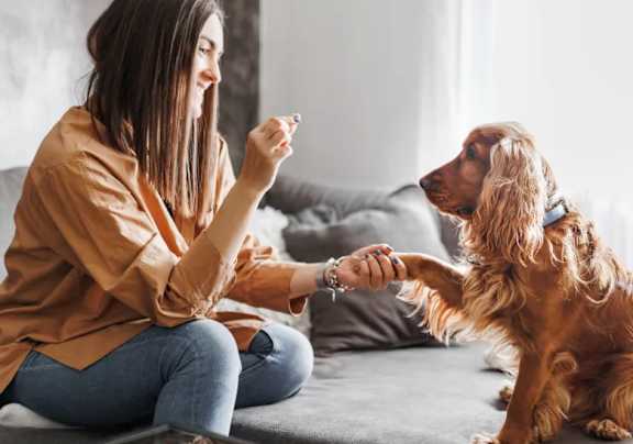 A woman is sitting on a couch with a dog, both are looking at a small object in the woman's hand.