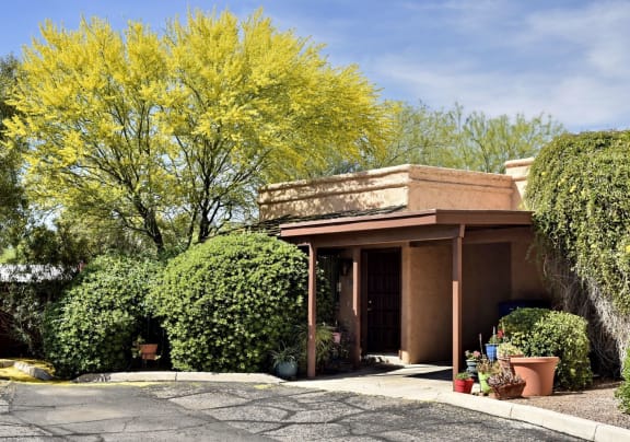 A yellow tree is in front of a house at San Xavier Casitas, Tucson, Arizona