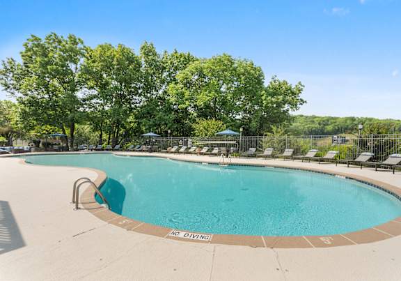 A large swimming pool surrounded by trees and lounge chairs.