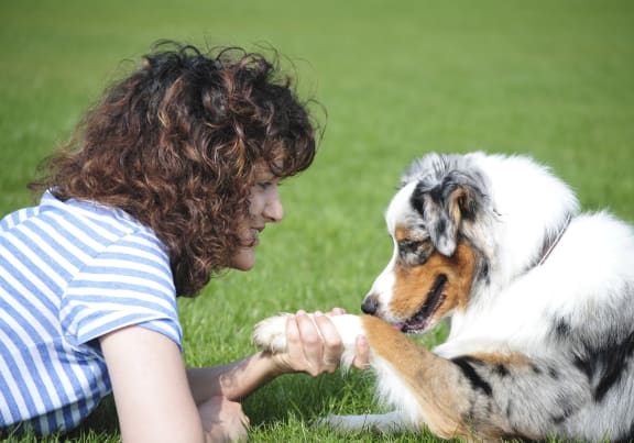 a woman laying on the grass playing with her dog