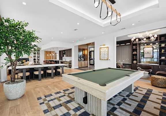 A pool table in the middle of a room with a tree in a pot.