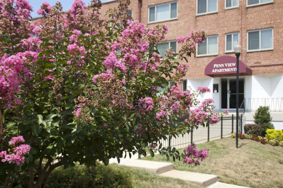 Penn View property image