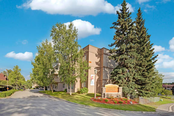 Susitna Ridge property image