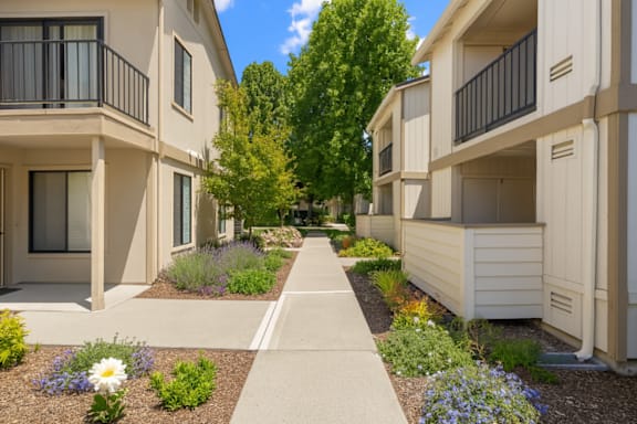 Camino Creek property image