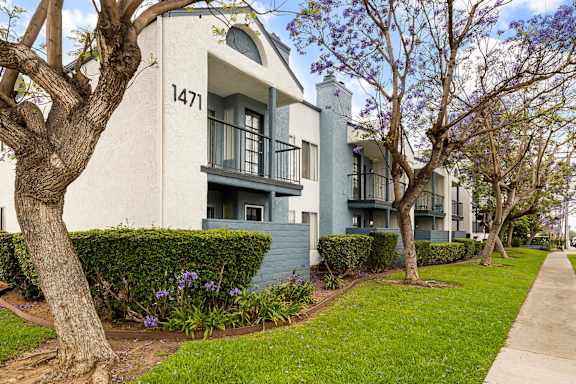 Mar at Grove property image