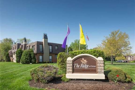 The Ridge at Chestnut property image