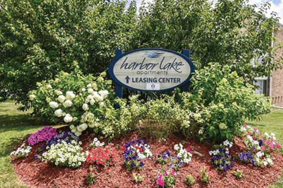 Harbor Lake property image