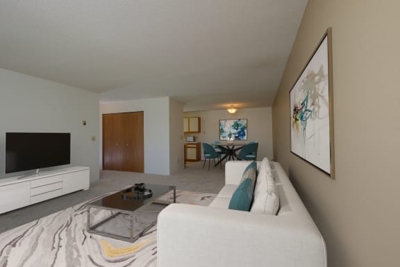South Pointe property image