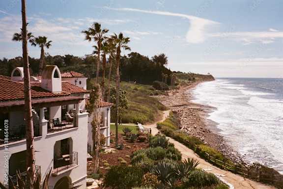 The Palm Apartments property image