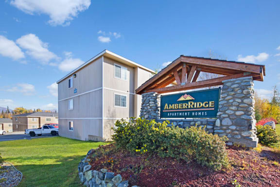Amber Ridge property image