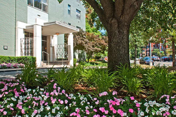 Clarence House property image