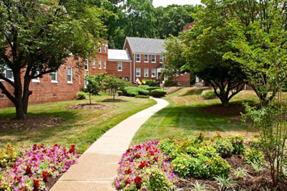 Hillside Terrace property image