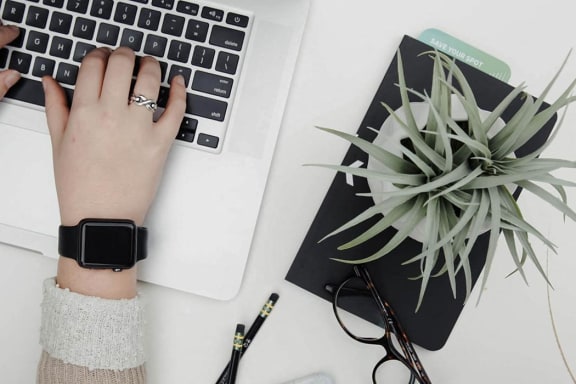 a person typing on a laptop computer with a plant and a watch