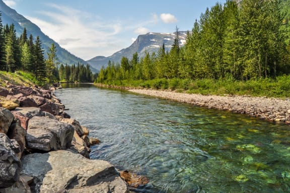 a river running through a forest with mountains in the background at Yellowstone Landing, Belgrade, 59714