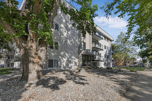Courtney property image