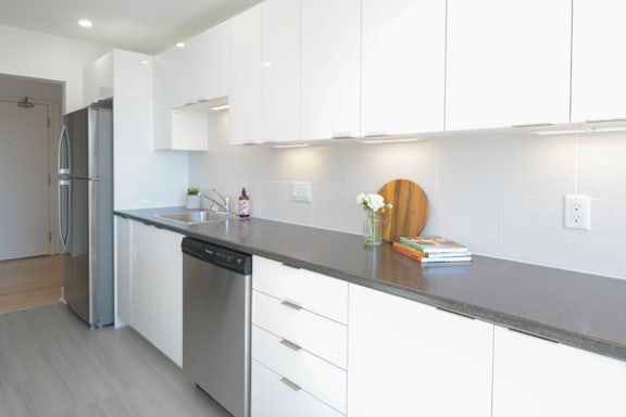 6 Jamieson Street property image
