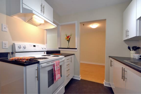 67 & 141 Harlington property image
