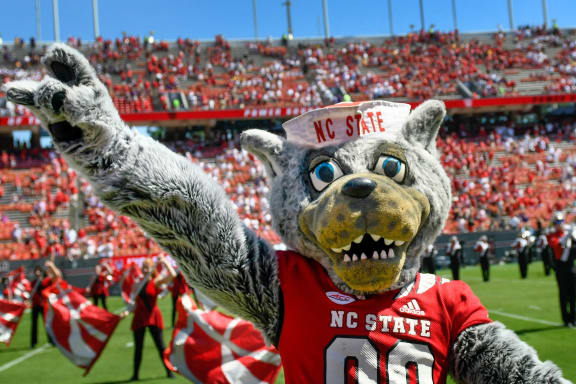 the mascot performs during the game football team