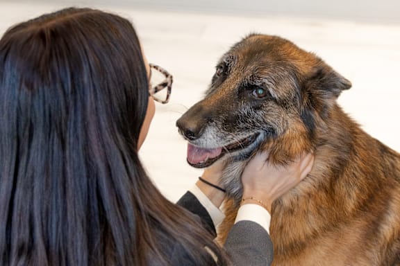 woman is petting a brown dog at District on the Etowah Apartments, Canton, 30114