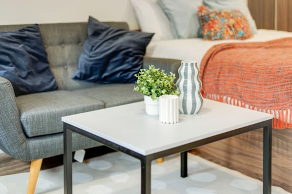 Luxury Studio Dual Occupancy grade image