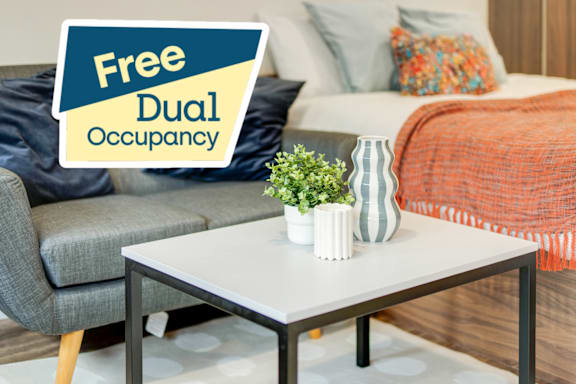 Luxury Studio Dual Occupancy grade image