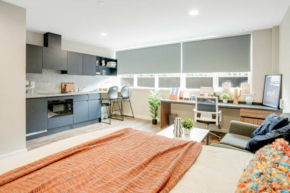 Luxury Studio grade image