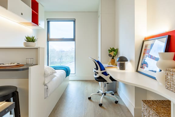 Economy Studio grade image